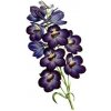 Fialová orchidea - nalepovacie tetovanie