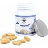 Hericium Plus, 90 kapsúl | 90 kapsúl/á 500mg | až na 90 dní | 0,25€/deň | Medicinalne huby - Liečba inak
