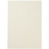 AGIPA Štrukturovaný papier Pergamen šampanské 95g 100 hárkov