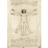 BLUEBIRD Puzzle Vitruviánsky muž 1000 dielikov Leonardo Da Vinci