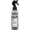 L´Oréal Professionnel Tecni.Art Pli termoaktívny sprej pre spevnenie vlasov 190 ml