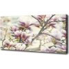 Foto obraz na plátne Magnólie 100x50 cm