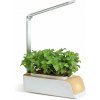 BOT Inteligentný kvetináč s LED, biely a svetlé drevo