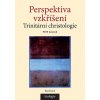 E-kniha: Perspektiva vzkříšení