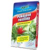 Agro CS Substrát pre izbové rastliny 10 l