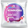 Renovality Kombucha Real Bubble Berry Mix 10 ks