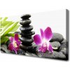 Obraz Canvas Kamene zen kúpele orchidea 100x50 cm