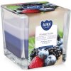 Aura candles Vonná sviečka v skle 'Forest fruit' 170 g