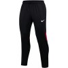Nike DF Academy Pant KPZ M DH9240 013 pants (92891) Black L