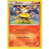 Braixen XY161 Promo (Holo)
