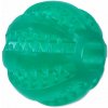 Dog Fantasy loptička Dental Mint 6 cm