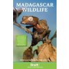 Madagascar Wildlife