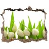 Samolepící nálepka na zeď Biele tulipány 95x64 cm