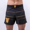 MMA trenky - FIGHTER - Lines - čierne/zlatý nápis