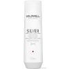 Goldwell Šampón pre blond a šedivé vlasy Dualsenses Silver (Silver Shampoo) 250 ml
