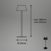 Briloner Nabíjateľná stolová lampa Kiki LED, čierna, IP44, 3 000 K, RGBW - 7466015