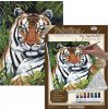 Maľovanie podľa čísiel na plátno Schovaný tiger