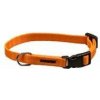 B & F Obojok puppy nylon rozlišovací rozlišovací-oranžový