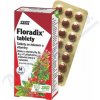 Salus Floradix Železo a Vitamíny 38,6 g 84 tabliet