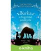 E-kniha Búrka a tajomná jazdkyňa - Stacy Gregg
