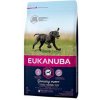 Eukanuba Puppy & Junior Large Breed 15 kg