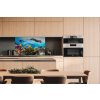 DIMEX | Dibond doska za kuchynskú linku | DBW-10060-092 Ryby v oceáne | 100 x 60 cm + Dibond obkladová doska Dimex do kuchyne Ryby v oceáne v rozmere 100 x 60 cm + lepidlo zadarmo