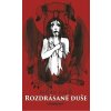 Rozdrásané duše - Milan Kališ