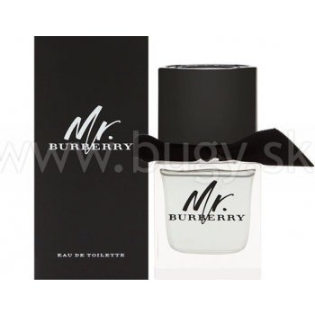 Burberry Mr. Burberry toaletná voda pánska 50 ml