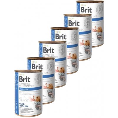 Brit Veterinary Diets GF cat Recovery 6 x 0,4 kg