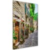 Vertikálny foto obraz fotografie na skle Pekná ulička 50x100 cm