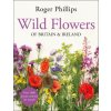 Wild Flowers