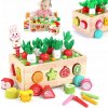 DREWNIANA KOSTKA GRA EDUKACYJNA SORTER KLOCKI MONTESSORI DREWNIANE ZABAWKA