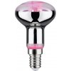 Paulmann LED žiarovka na rast rastlín GROW ZELENÁ R50 E14/4W/230V