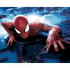 ZUTY Maľovanie podľa čísel - SPIDERMAN NA STENE BUDOVY Rámovanie: bez rámu a bez vypnutia plátna, Rozmer: 40x50 cm