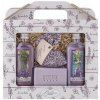 Bohemia Herbs Lavender La Provence sprchový gél 100 ml + Olejová lázeň 100 ml + Mýdlo 100 g + bylinky levandule v sáčku darčeková sada