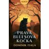 Pravá bluesová kočka, Fiala Dominik, 2022