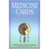 Medicine Cards - cards & book (Jamie Sams,David Carson)(Brožovaná)