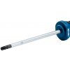 Bosch Šroubovák TX25X100 (1.600.A01.V0D)