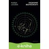 E-kniha Ekonomie bezpečnosti - Marek Loužek