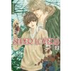 Super Lovers. Bd.2 (Abe Miyuki)(Brožovaná)