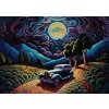 ART PUZZLE Puzzle Noc v Transylvanii 1000 dílků