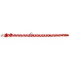COLLAR Kožený obojok s hviezdami Glamour, 27-36cm/15mm, červená