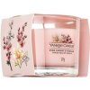Yankee Candle Pink Cherry Vanilla votívna sviečka 37 g
