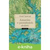 E-kniha Amerika v proměnách staletí - Josef Opatrný