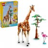 LEGO® Creator 3 v 1 31150 Divoké zvieratá zo safari