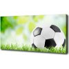 Foto obraz na plátne Futbal 100x50 cm