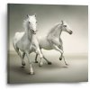 Sablio Obraz Dva biele koňe - 50x50 cm