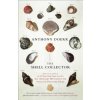 The Shell Collector