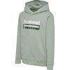 Hummel Tukas Hoody Kids 226351-6452