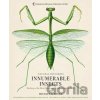 Innumerable Insects : The Story of the Most Diverse and Myriad Animals on Earth - S. Michael Engel